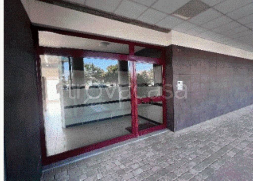 immagine annuncio 10 di 14