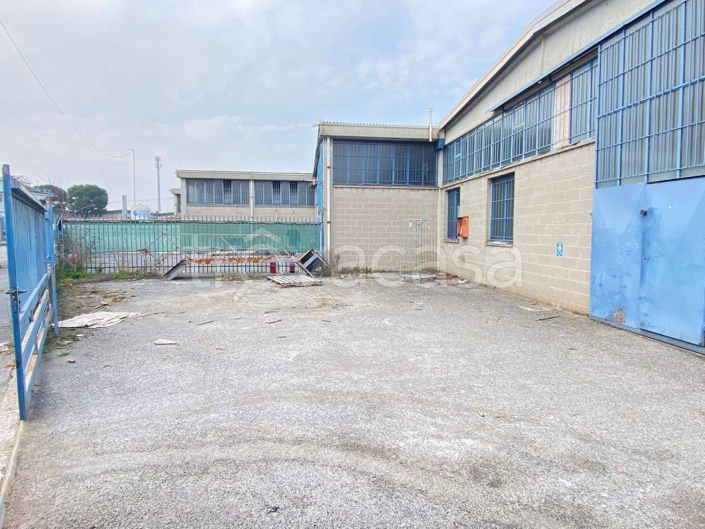 immagine annuncio 7 di 10