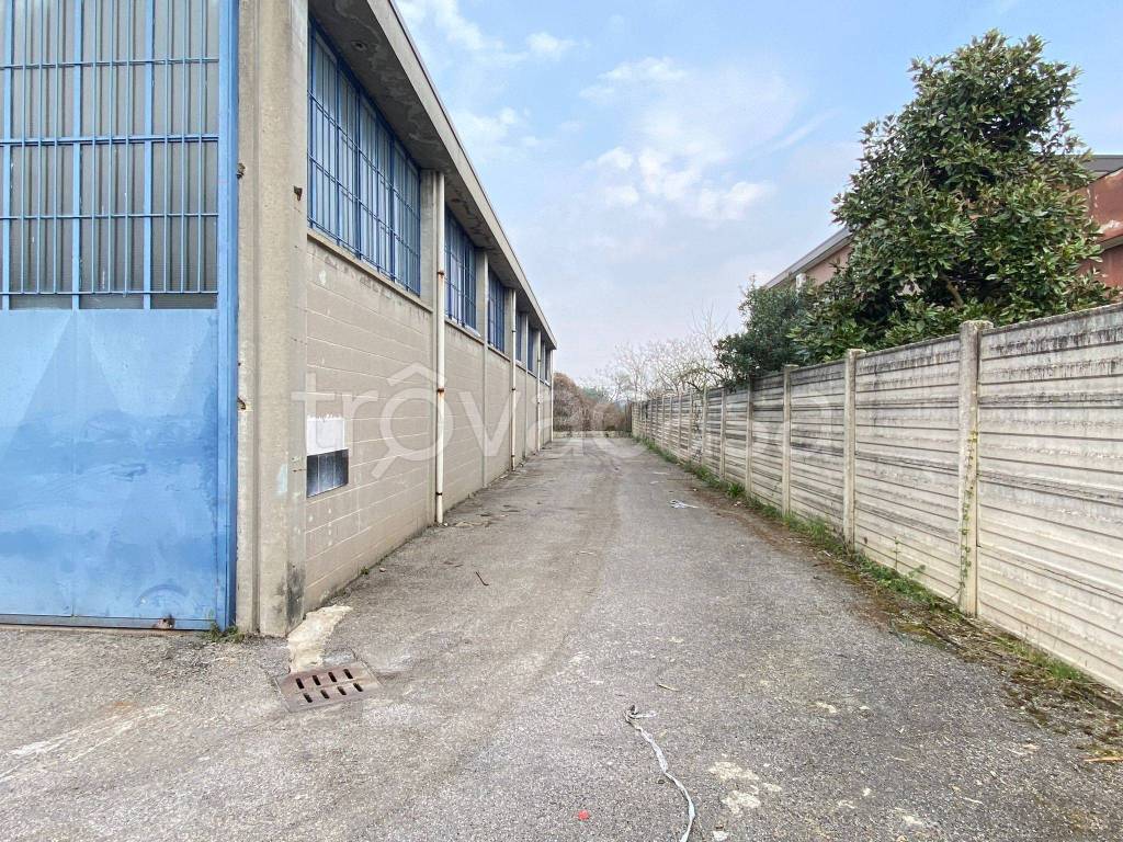 immagine annuncio 8 di 10