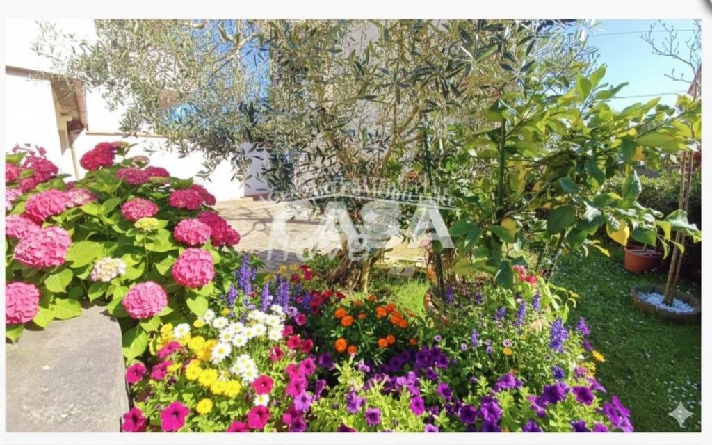 immagine annuncio 5 di 8