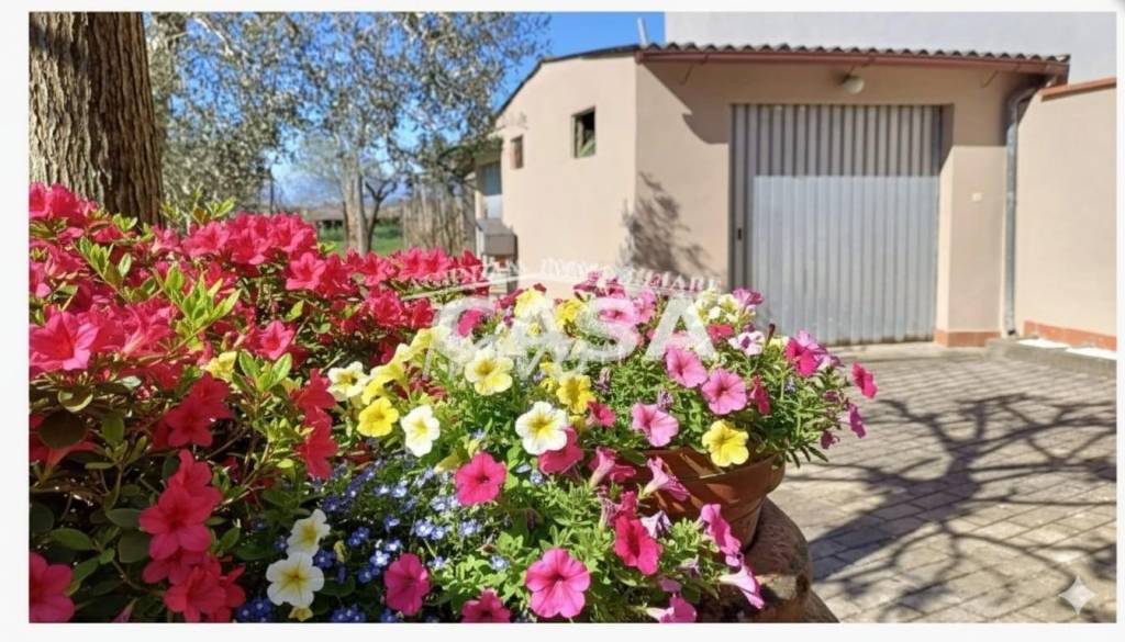 immagine annuncio 7 di 8