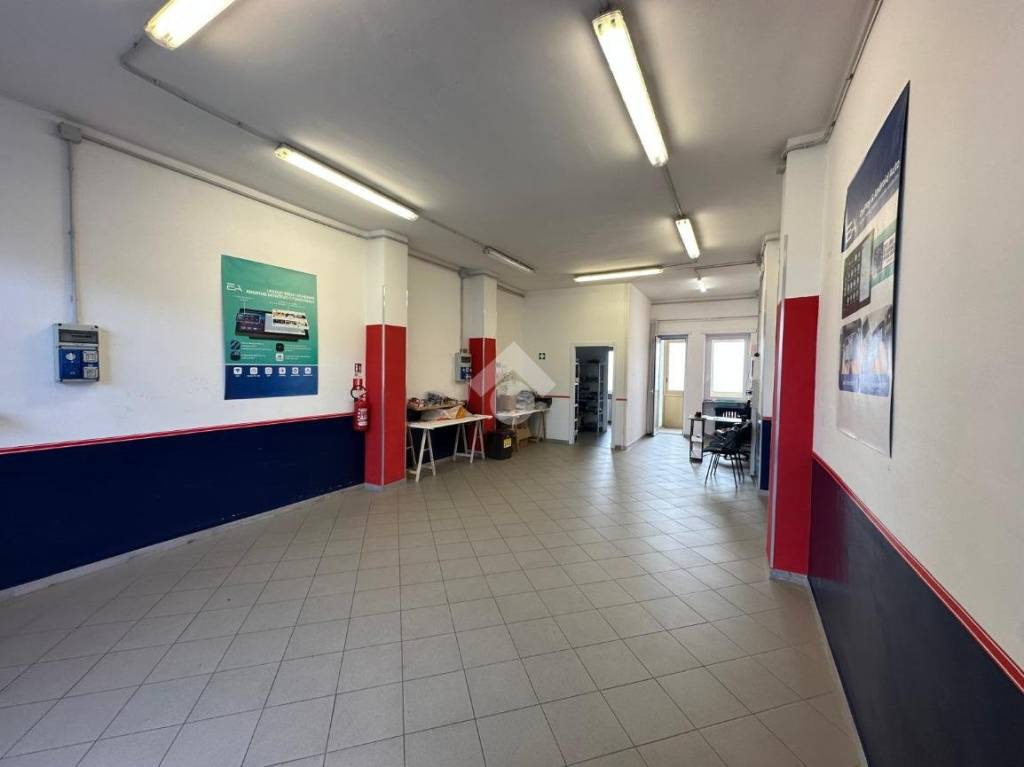 immagine annuncio 5 di 15