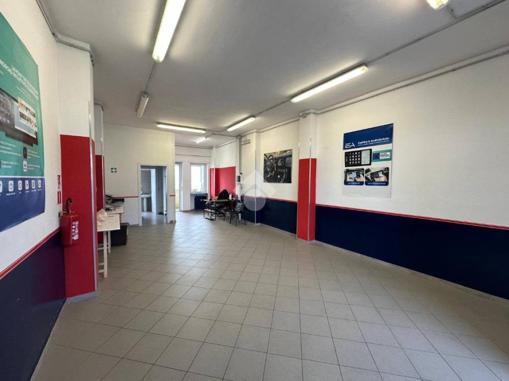 immagine annuncio 7 di 15