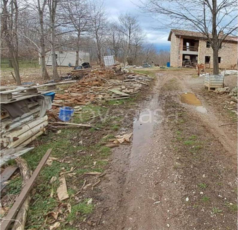 immagine annuncio 2 di 12