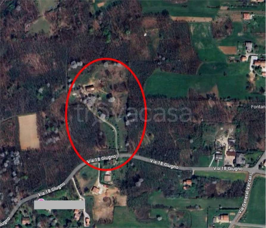 immagine annuncio 6 di 12