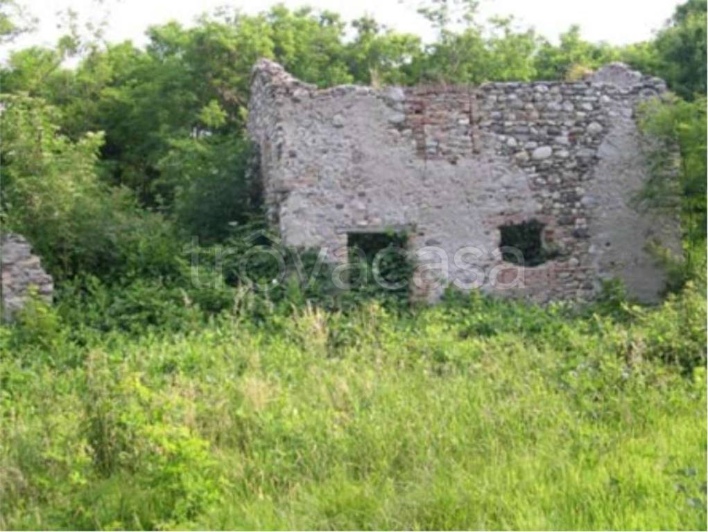 immagine annuncio 8 di 12