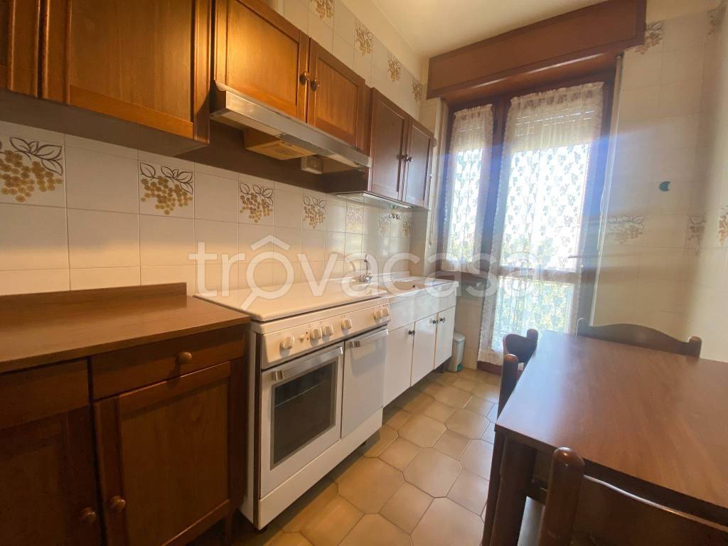 immagine annuncio 4 di 13