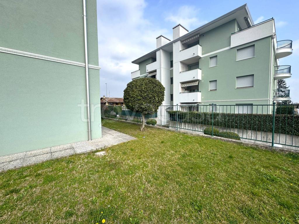 immagine annuncio 11 di 12