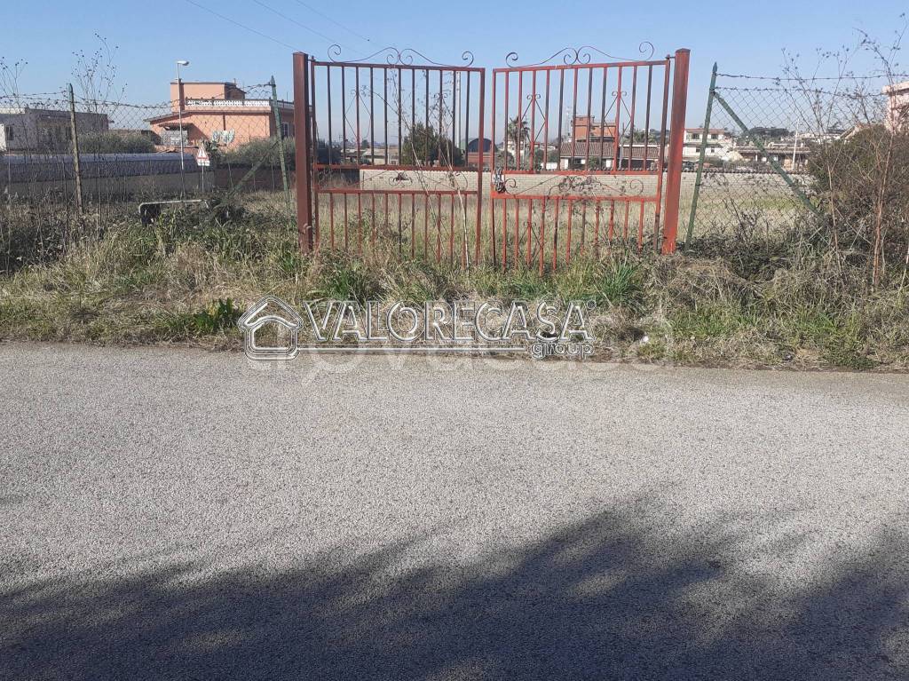 immagine annuncio 11 di 13