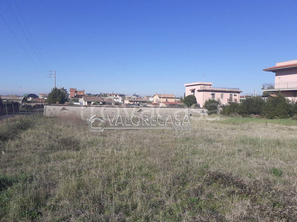 immagine annuncio 7 di 13