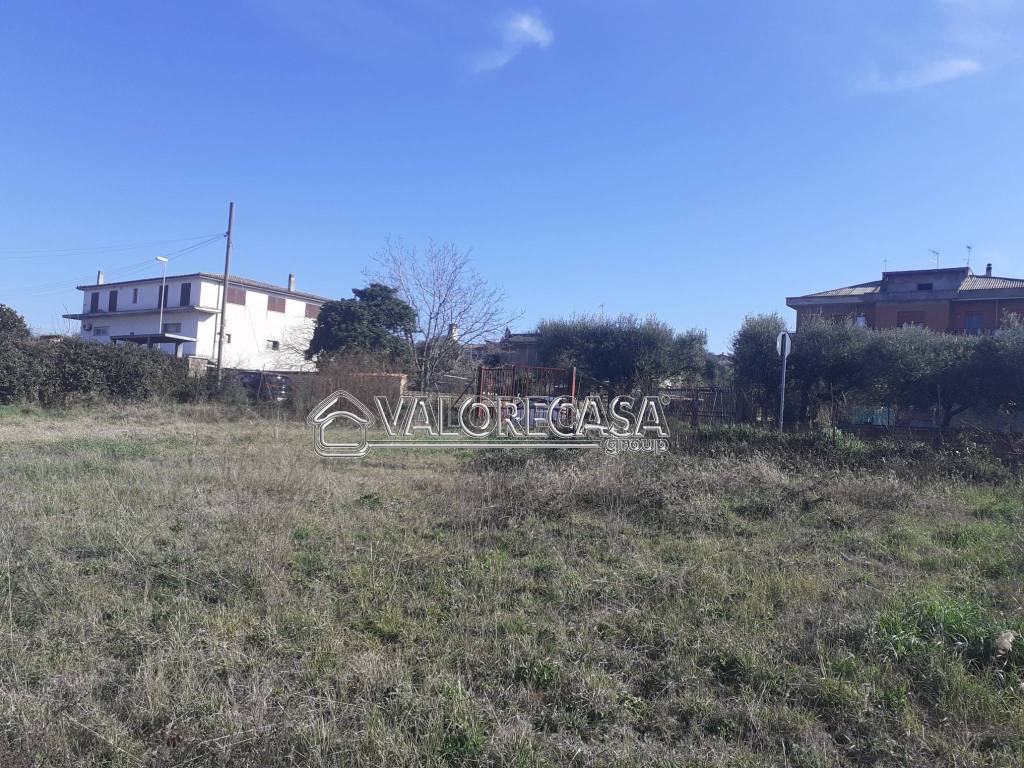 immagine annuncio 6 di 13