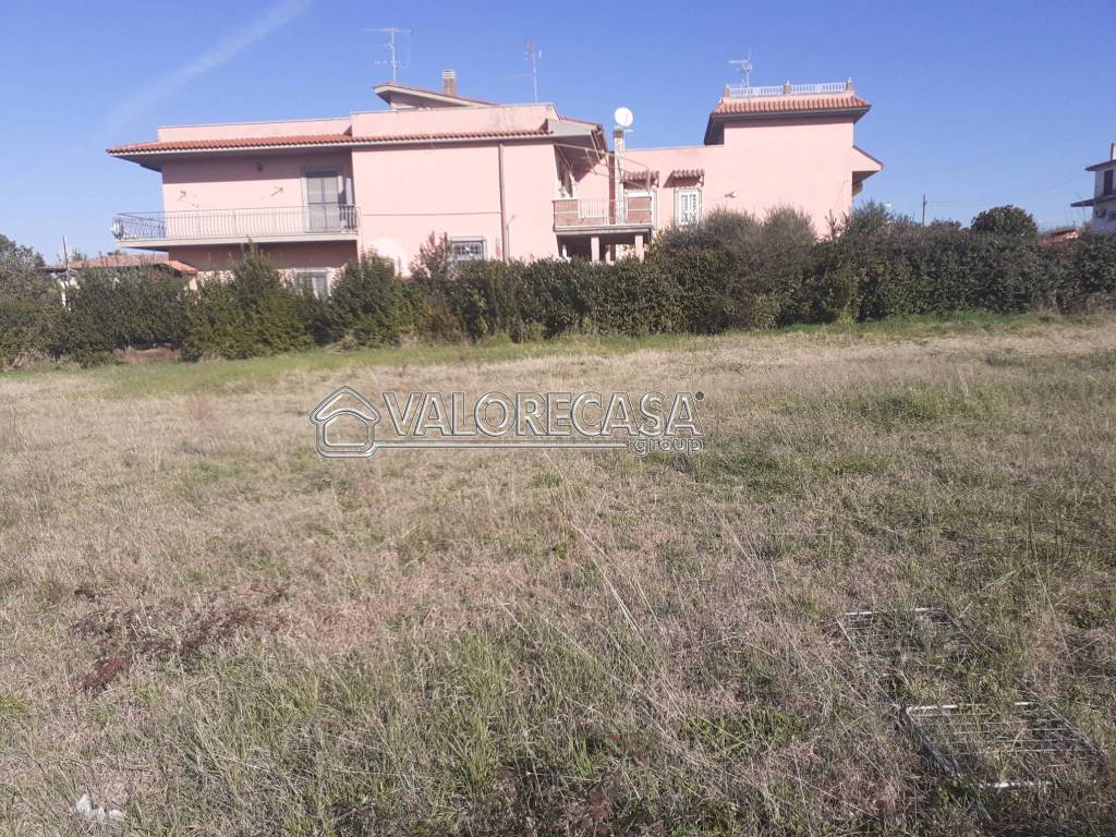 immagine annuncio 12 di 13