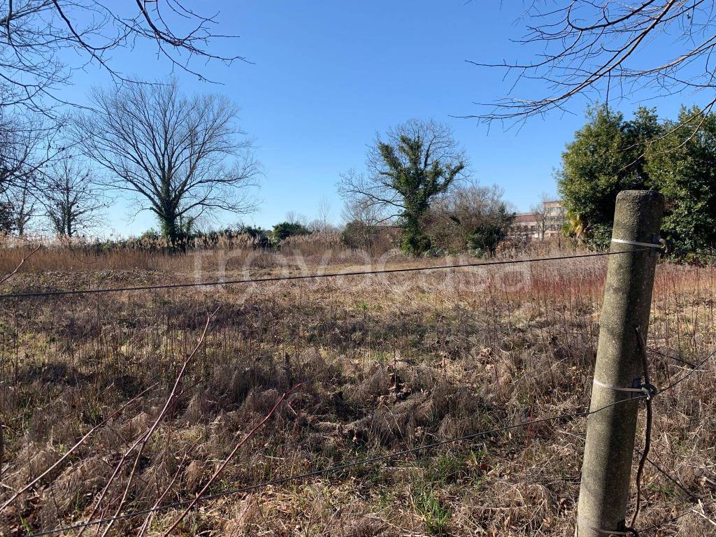 immagine annuncio 3 di 6