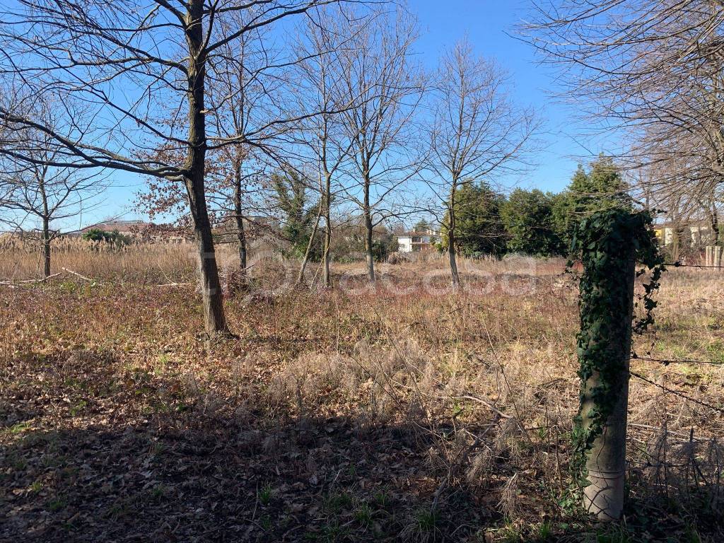 immagine annuncio 1 di 6