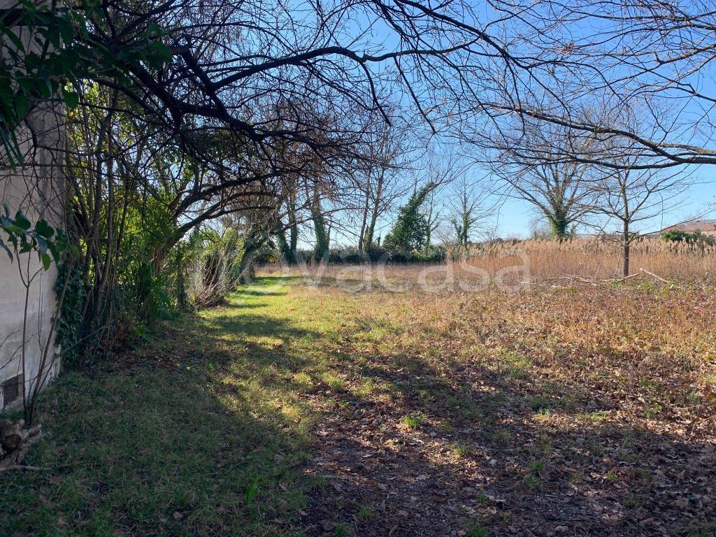 immagine annuncio 2 di 6