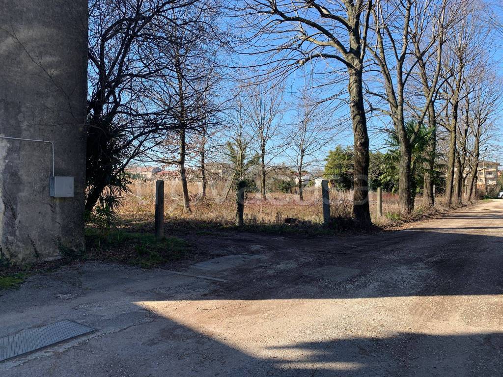 immagine annuncio 5 di 6