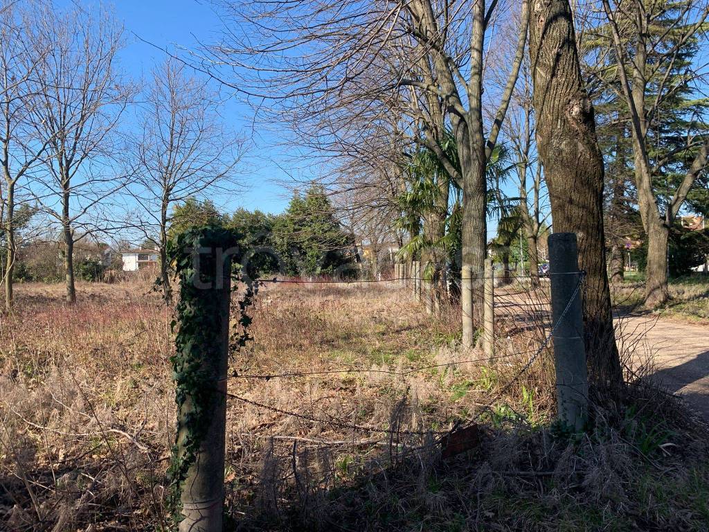 immagine annuncio 4 di 6