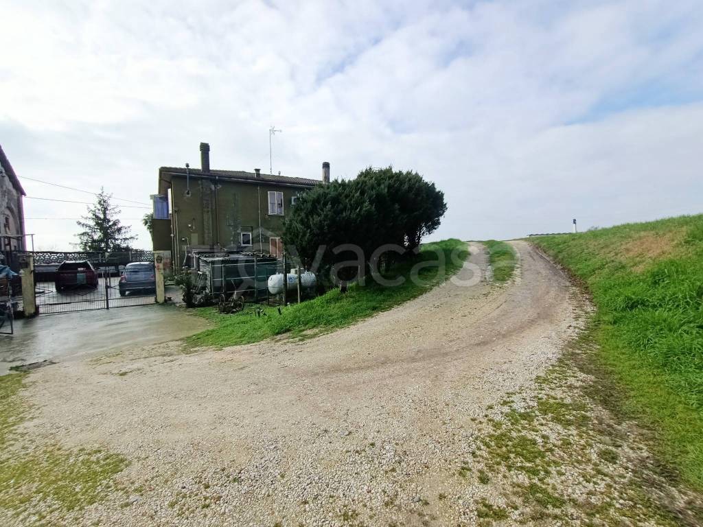 immagine annuncio 7 di 11