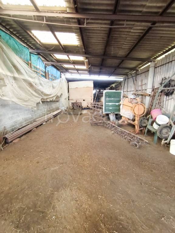 immagine annuncio 8 di 11