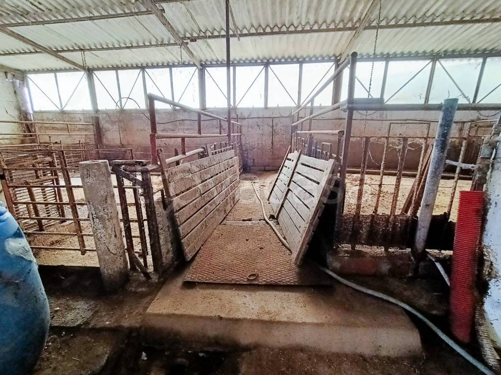 immagine annuncio 9 di 11