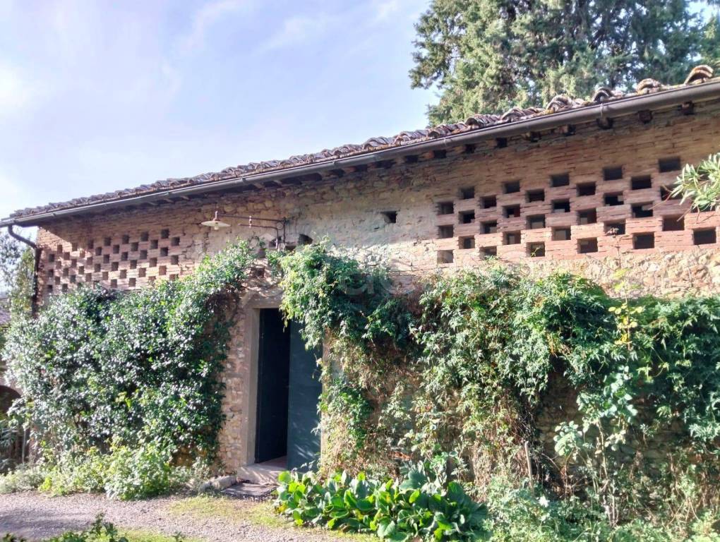 immagine annuncio 10 di 14