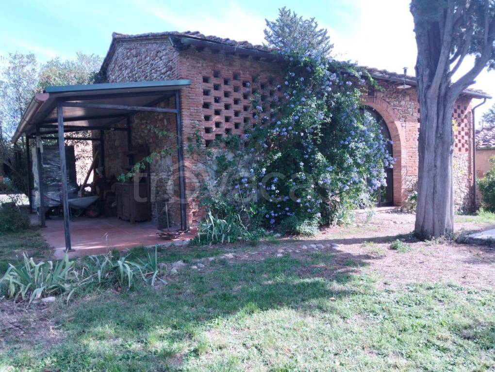 immagine annuncio 11 di 14