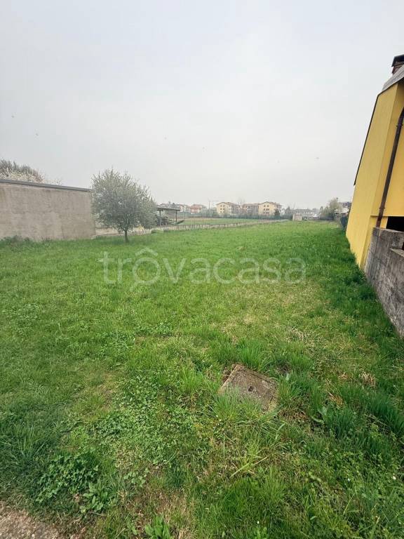 immagine annuncio 4 di 8