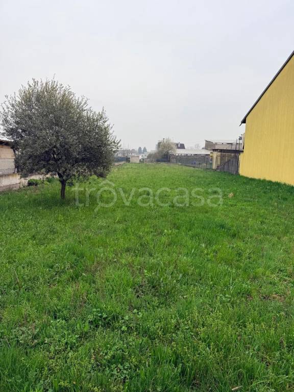 immagine annuncio 6 di 8