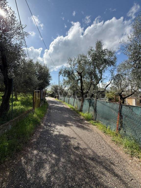 immagine annuncio 1 di 9