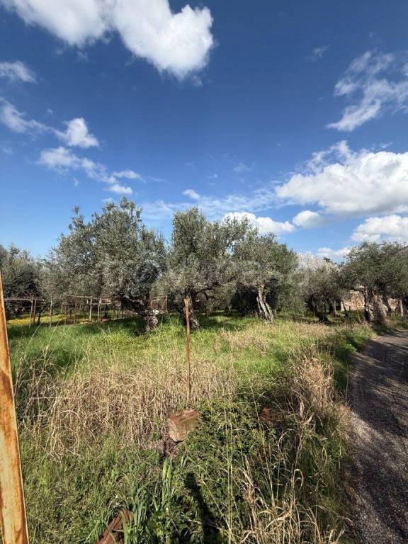 immagine annuncio 8 di 9