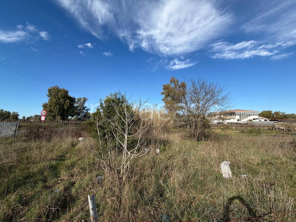 immagine annuncio 2 di 9