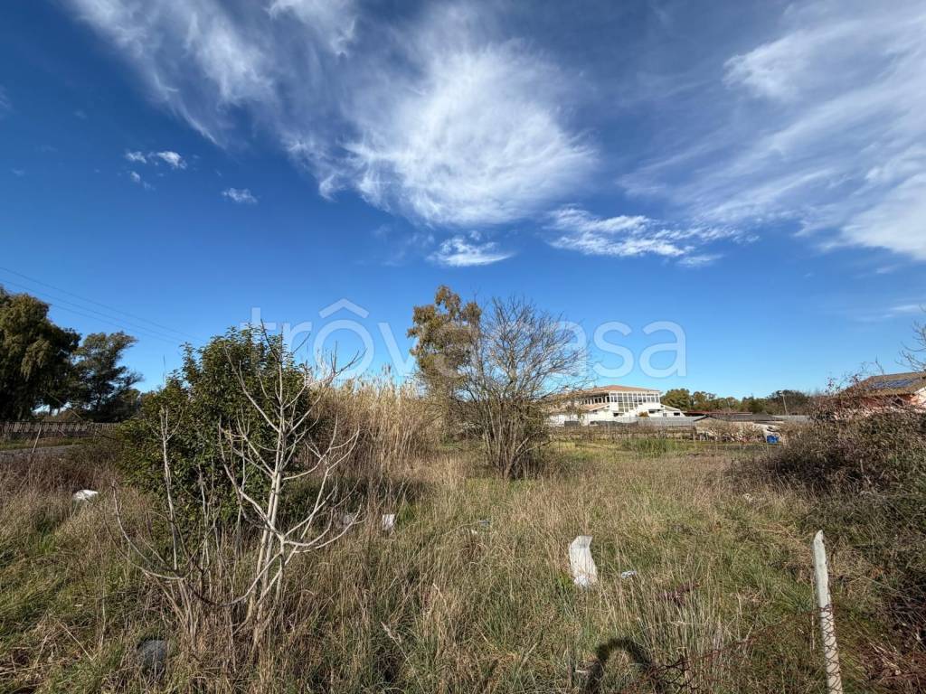 immagine annuncio 5 di 9