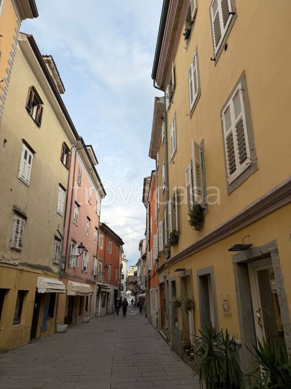 immagine annuncio 6 di 8