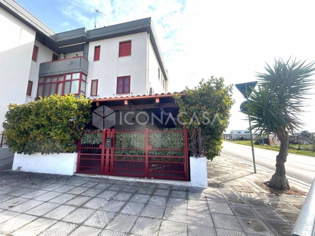 immagine annuncio 12 di 13