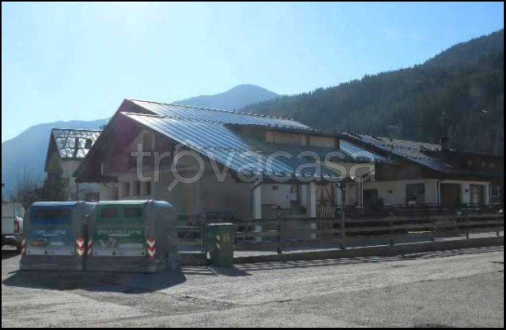 immagine annuncio 4 di 14