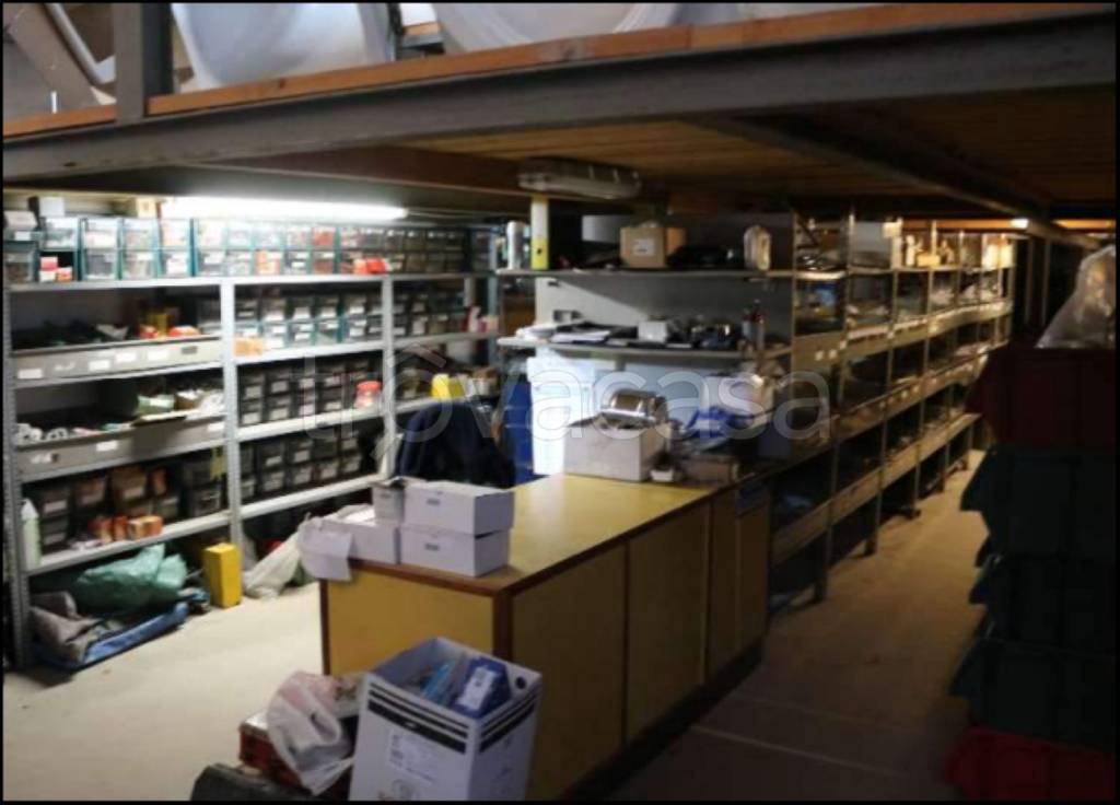 immagine annuncio 10 di 14