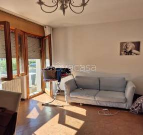 immagine annuncio 3 di 14