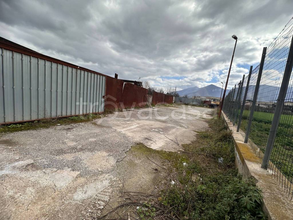 immagine annuncio 3 di 4