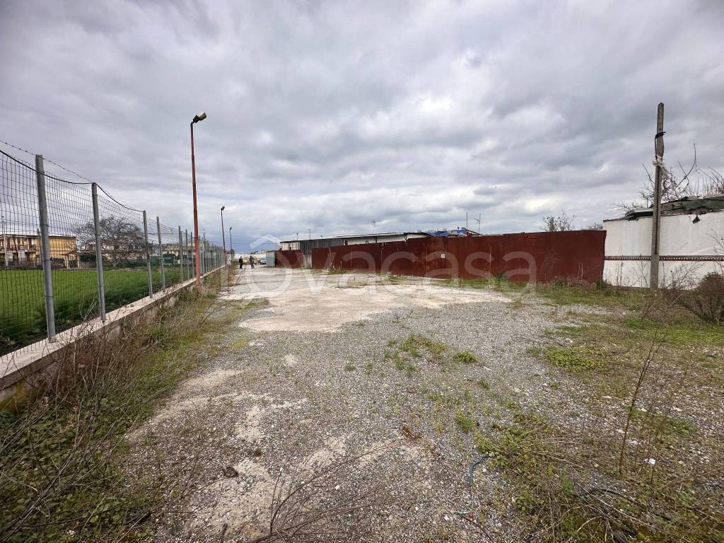 immagine annuncio 2 di 4