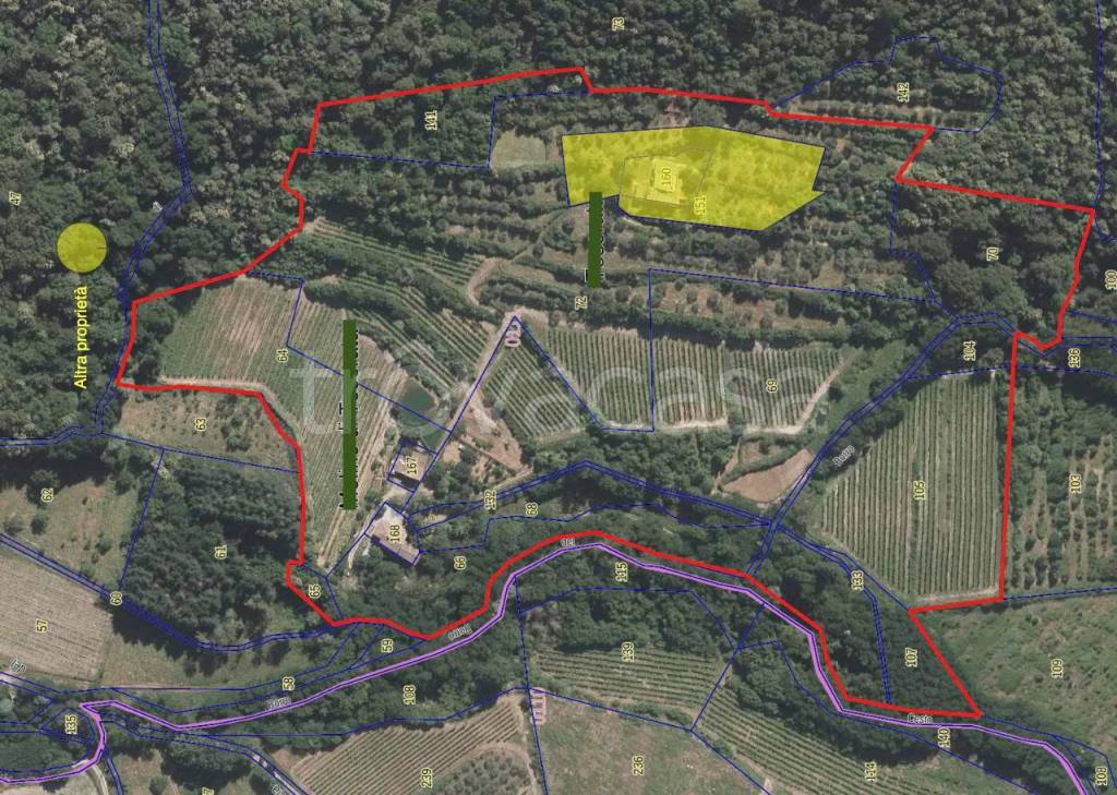 immagine annuncio 3 di 14