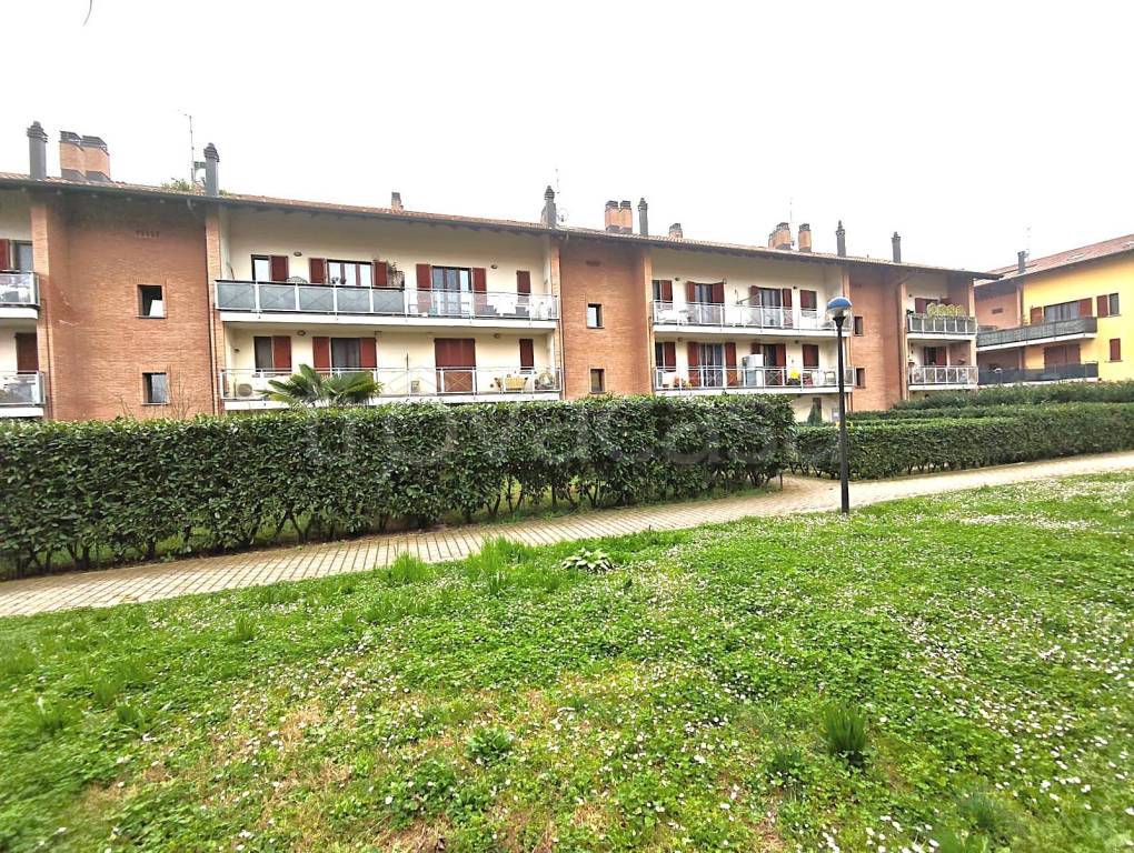 immagine annuncio 9 di 15
