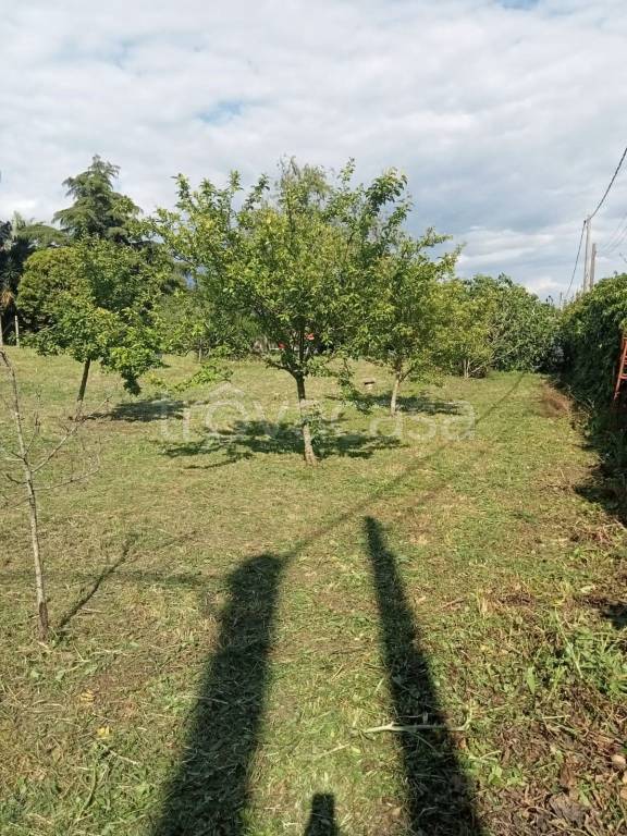 immagine annuncio 1 di 7