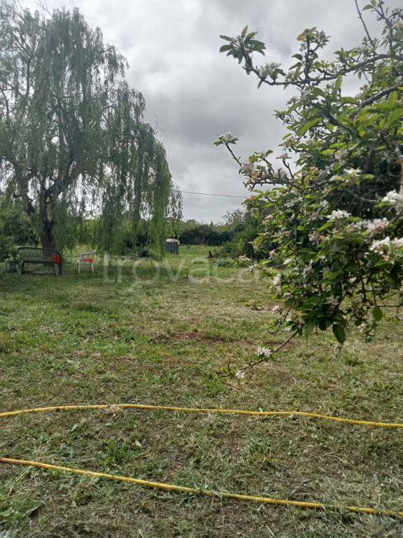 immagine annuncio 2 di 7