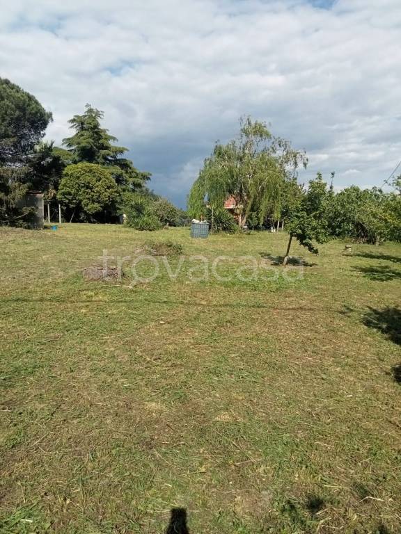 immagine annuncio 3 di 7