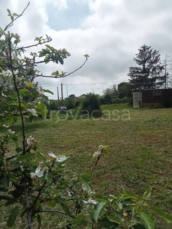 immagine annuncio 4 di 7