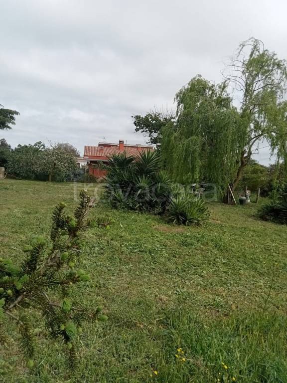 immagine annuncio 5 di 7