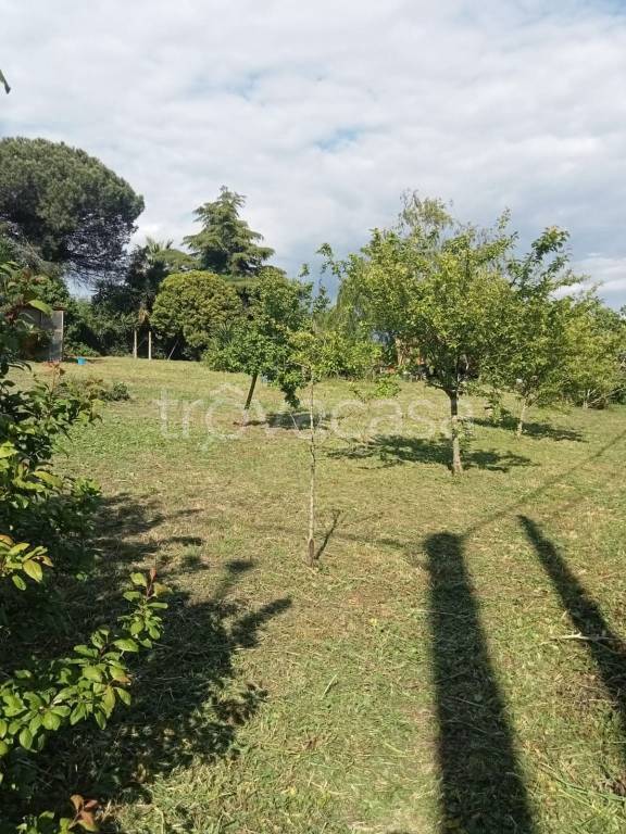 immagine annuncio 6 di 7