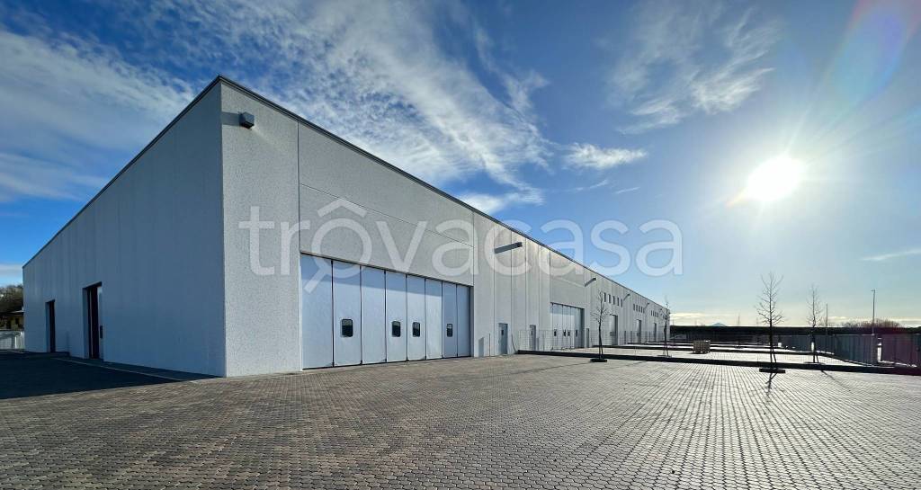 immagine annuncio 1 di 8