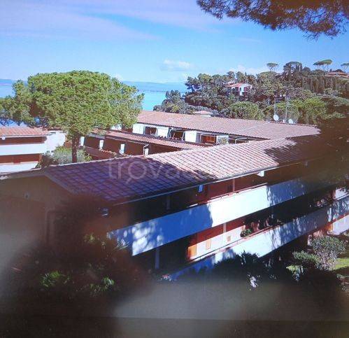 immagine annuncio 6 di 13