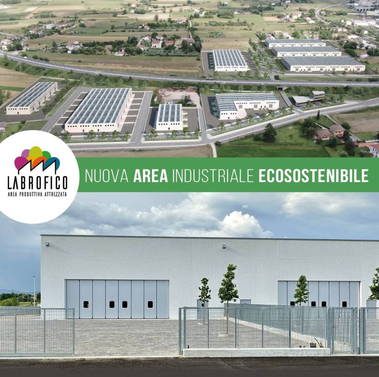 immagine annuncio 2 di 8